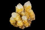 Sunshine Cactus Quartz Crystal Cluster - South Africa #122365-1
